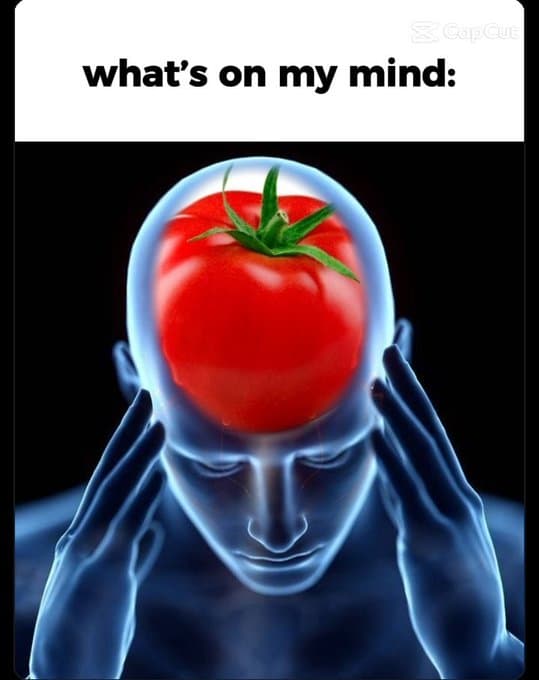 Meme 5