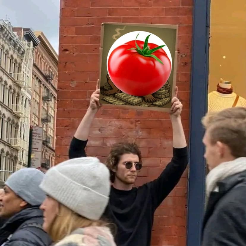 Meme 7